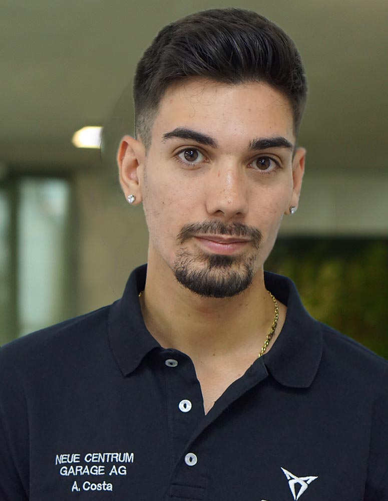 Automobil-Fachmann Car Explainer